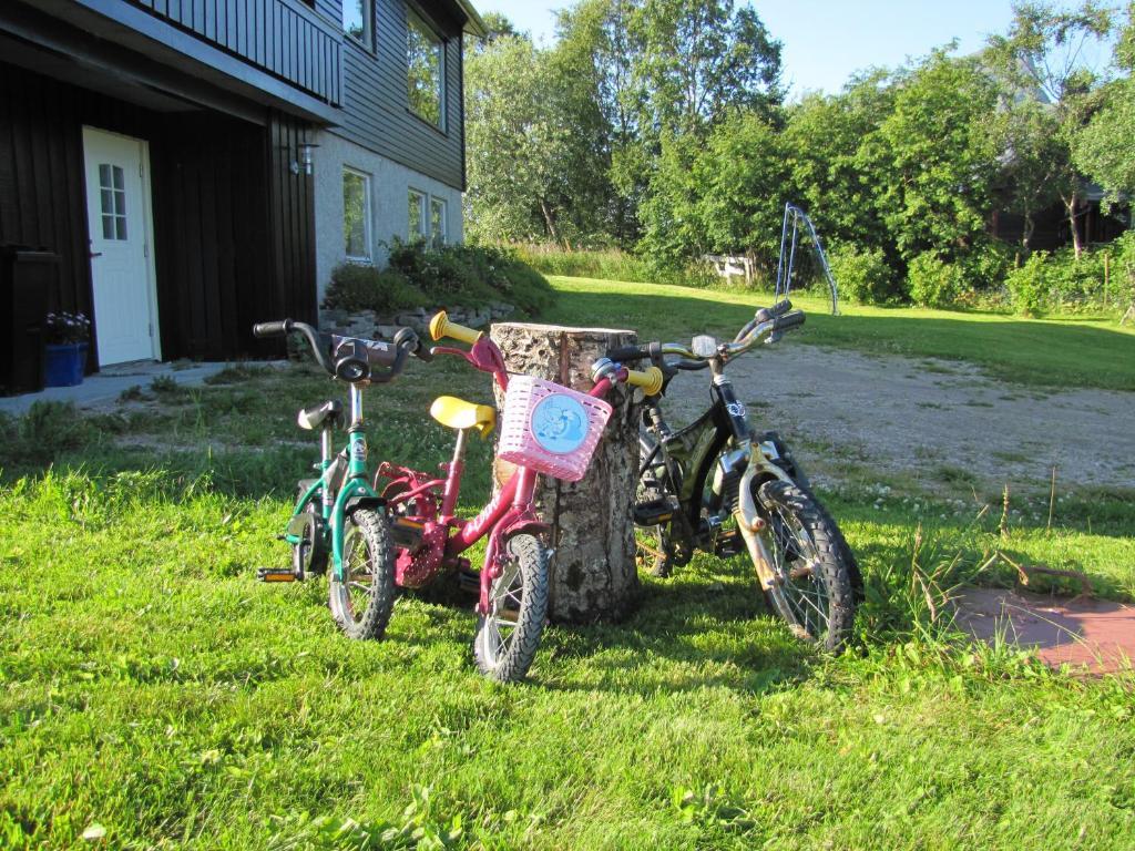 Midt I Lofoten Alstad  Dış mekan fotoğraf